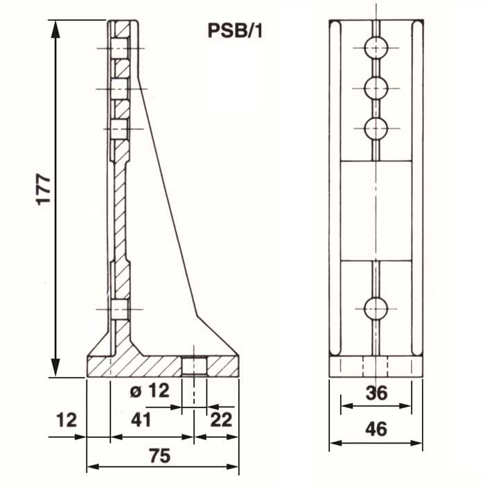 PSB15