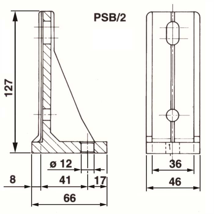 PSB25