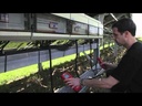 youtube - [Video]